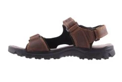 TRUMP BROWN -Fashion Shoe Store IM201.BRW 2