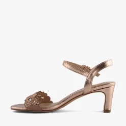 VOGUE CHAMPAGNE -Fashion Shoe Store J1504 3