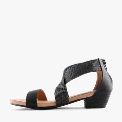 SUS BLACK -Fashion Shoe Store S1707 3